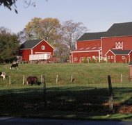 Ablestock.com/AbleStock.com/Getty Images Many families struggle over how to keep a farm in the family.