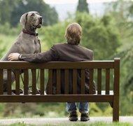 Jupiterimages/Polka Dot/Getty Images Pets fall into a gray area of divorce law.