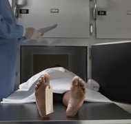 Darrin Klimek/Digital Vision/Getty Images You can state your decision regarding organ donation in a living will.