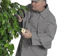 Hemera Technologies/PhotoObjects.net/Getty Images Private investigators can be discredited by showing a lack of personal knowledge of the case.