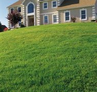 Comstock/Comstock/Getty Images In Massachusetts, divorce automatically converts a tenancy by the entirety into a tenancy in common.