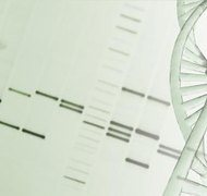 Comstock/Comstock/Getty Images Gene patenting provides economic protection for inventors of genetically modified organisms.