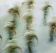 John Foxx/Stockbyte/Getty Images Although a service member earns an individual pension, that pension is often considered a joint asset.