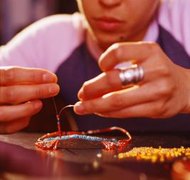 Thinkstock Images/Comstock/Getty Images It is common to use third-party trademarks in crafts.