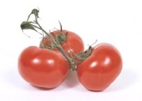 Store Tomatoes