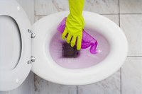 Clean a Toilet
