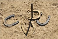 Make a Backyard Horse Shoe Area