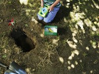 Start a Pet Cemetery