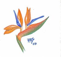 Bird of Paradise by Robert A. Sloan