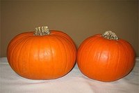 Pie pumpkins are smaller and sweeter than traditional halloween pumpkins, allowing them to be used to make pumpkin pie.