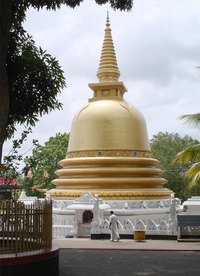 Travel in Sri Lanka