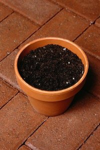 Make Potting Soil Mix