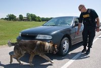 Train a Drug Dog