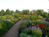 Increase Soil's Alkaline Level
