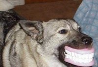 Remove Dentures