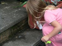 Rid a Yard of Slugs