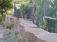 A block edged raised vegetable garden