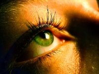 Apply Individual Eyelashes