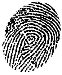 Make Fingerprint Powder