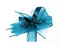 This craft bow would make a lovely hair accessory.