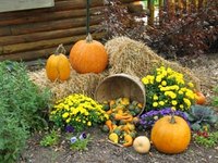 Decorate a Yard for a Fall Festival