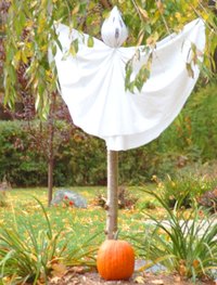 Flying Tree Ghost