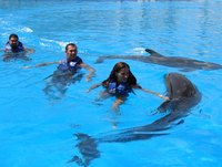Swim With Dolphins in Alabama