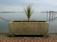 Concrete planter