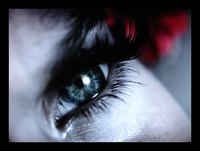 Dramatic Eyelashes