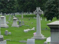 Bury without Life Insurance