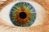 How Does the Eye Work?