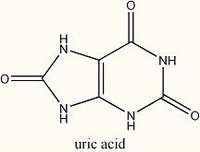 How Does Uric Acid Affect the Body?