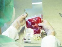 How Does Plasma Aid the Body?