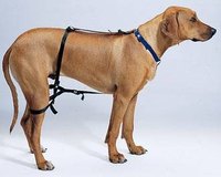About Dog Jumping Harnesses