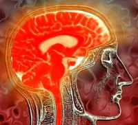 How Does the Brain Work?