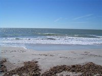 About Snorkeling in Clearwater Beach, Florida