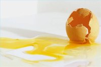 Use Only the Egg Yolk