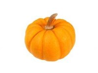 Make a Paper Mache Pumpkin