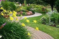 Grow a Thick Healthy Lawn
