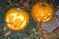 How Does a Pumpkin Reproduce?
