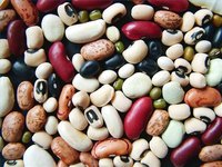 What Are the Parts of a Bean Seed?