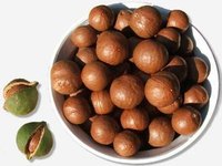 Shelled macadamia nuts