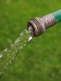 Water Hose