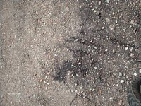 Exposed Aggregate