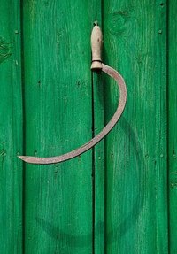 Sickle