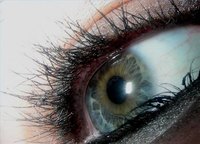How Much Does Eyelash Perming Cost?