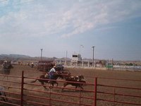 Breakaway Roping Tips