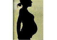 Pregnancy Size by Week