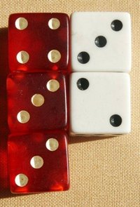 What are Risk Management Techniques?