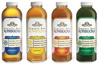 Organic Kombucha Tea